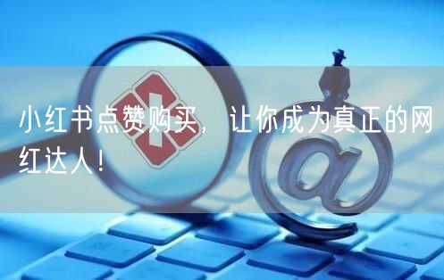 小红书点赞购买，让你成为真正的网红达人！