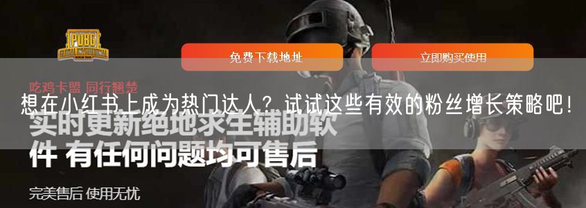 想在小红书上成为热门达人？试试这些有效的粉丝增长策略吧！