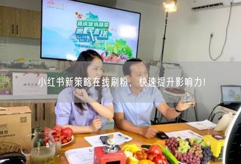 小红书新策略在线刷粉，快速提升影响力！