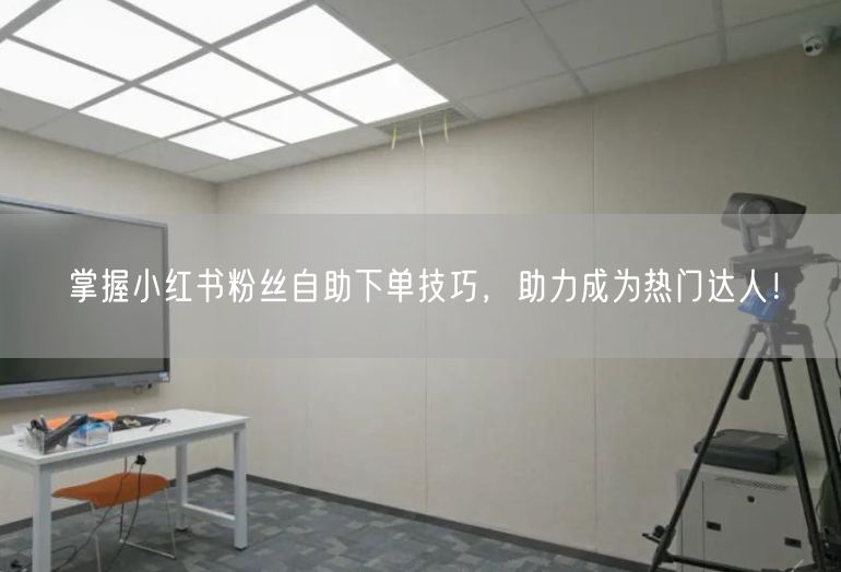 掌握小红书粉丝自助下单技巧，助力成为热门达人！