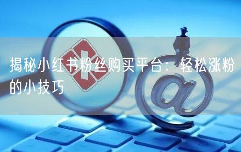 揭秘小红书粉丝购买平台：轻松涨粉的小技巧