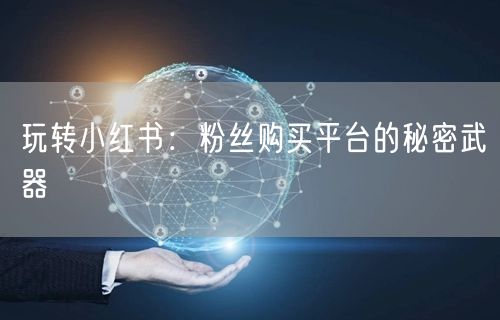 玩转小红书：粉丝购买平台的秘密武器