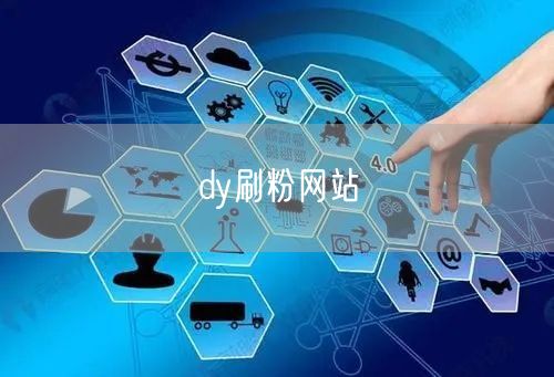 dy刷粉网站