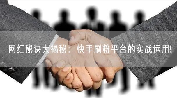 网红秘诀大揭秘：快手刷粉平台的实战运用!